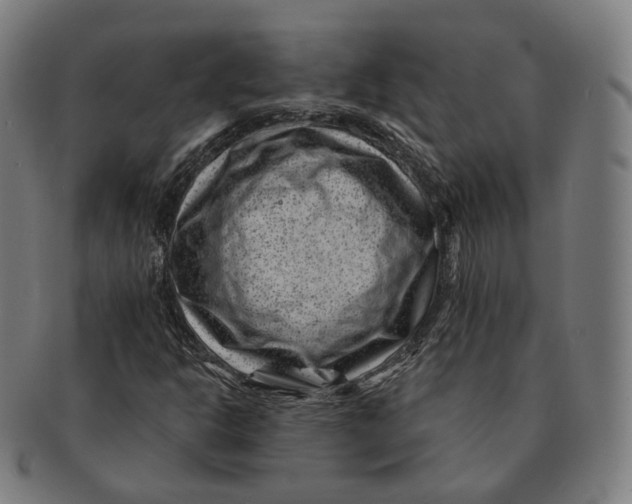 X0000091001302200708241439