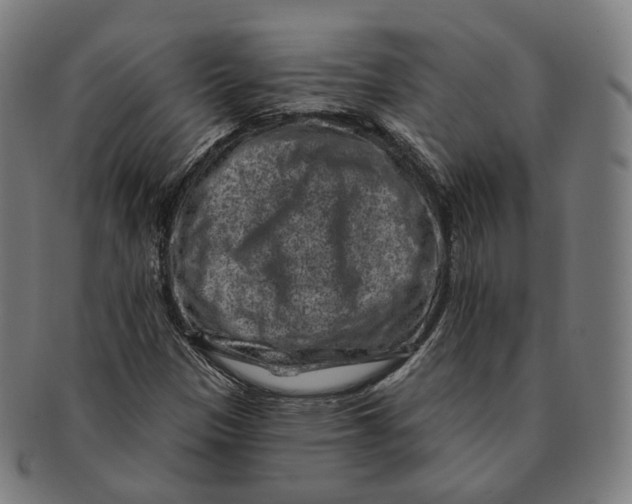 X0000091001305200708241439
