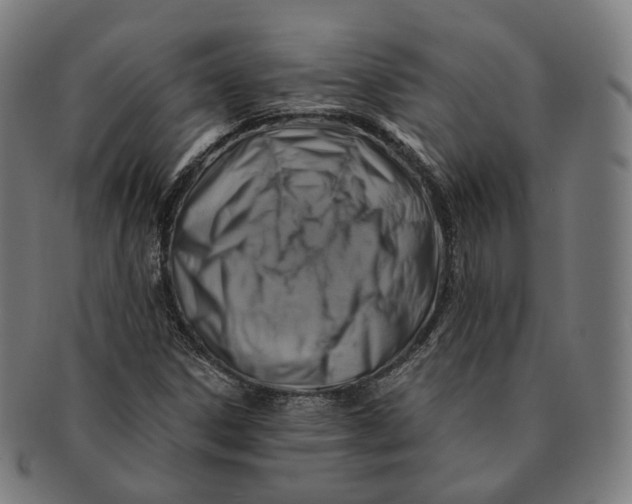 X0000091001306200708241439