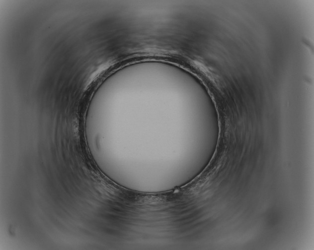 X0000091001307200708241439