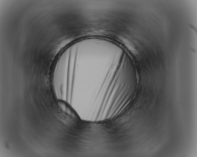 X0000091001308200708241439