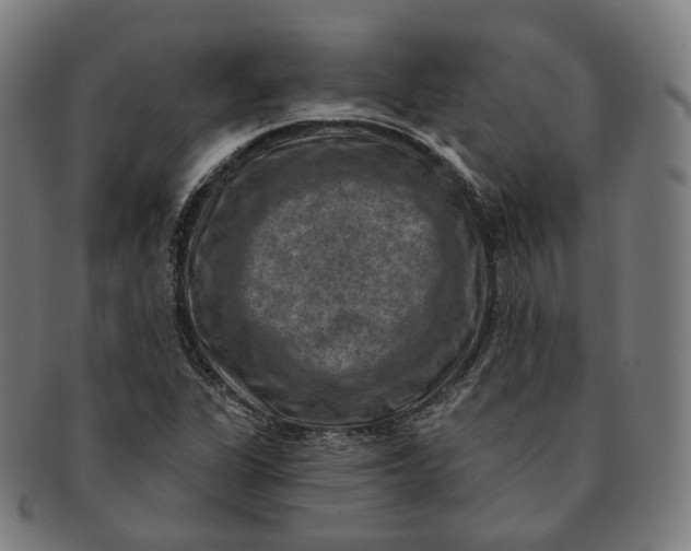 X0000091001311200708241440