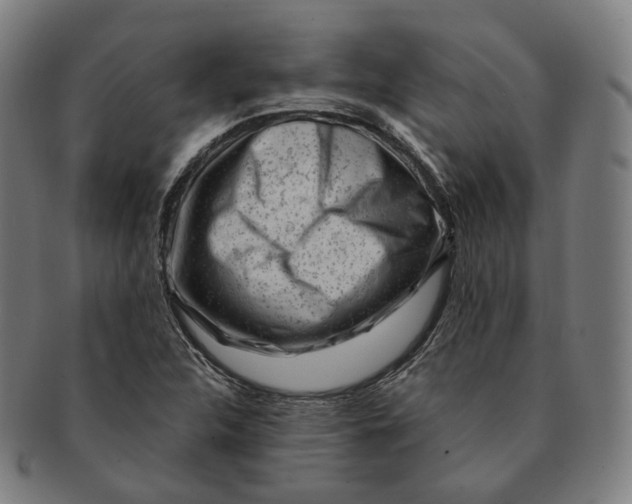 X0000091001312200708241440