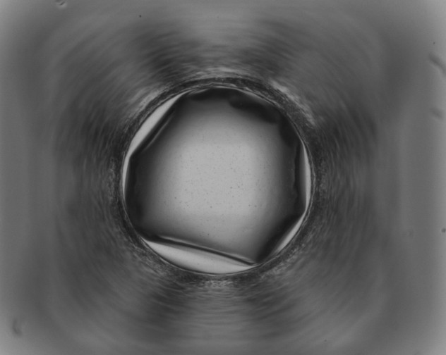 X0000091001313200708241440