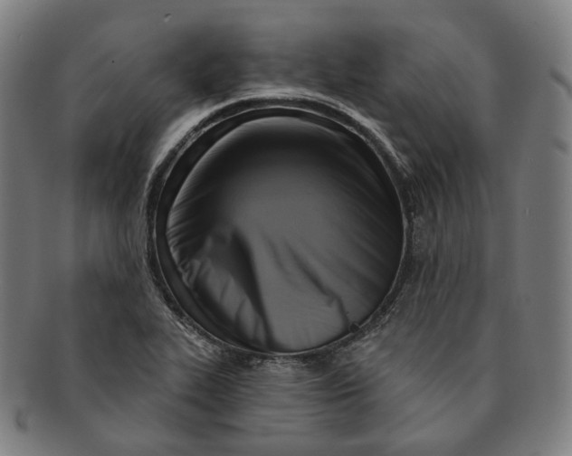 X0000091001319200708241440