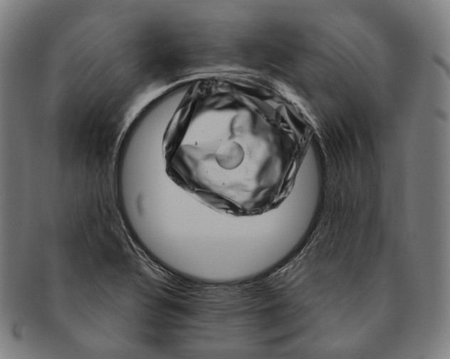 X0000091001320200708241440