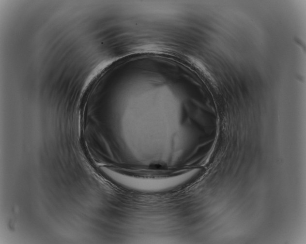 X0000091001323200708241440