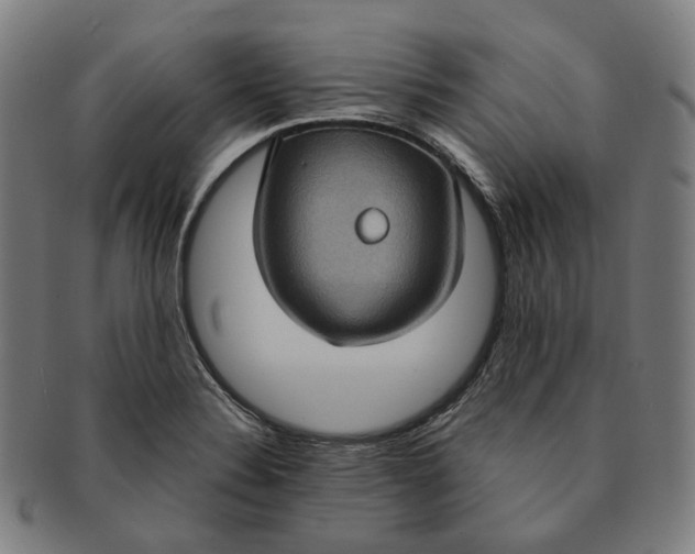 X0000091001324200708241440