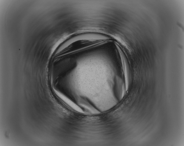 X0000091001325200708241440
