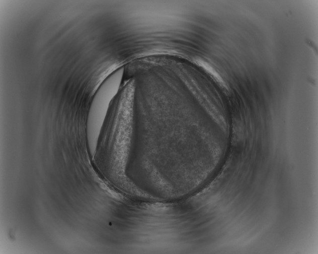 X0000091001329200708241440