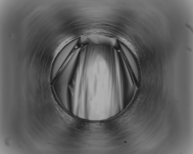 X0000091001330200708241440