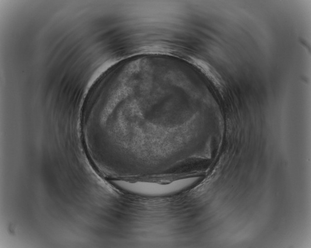X0000091001331200708241440