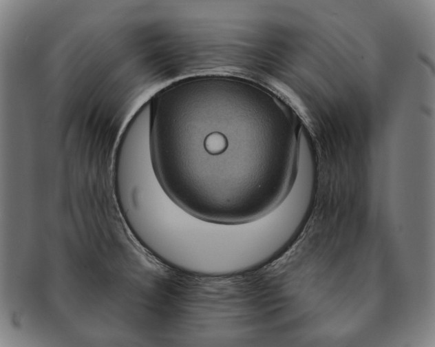 X0000091001332200708241440