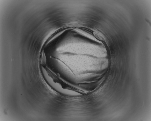 X0000091001333200708241440