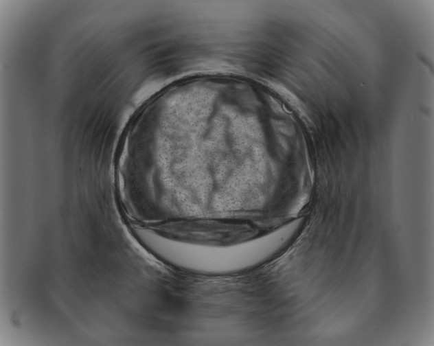 X0000091001335200708241440
