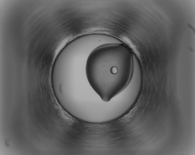 X0000091001336200708241440