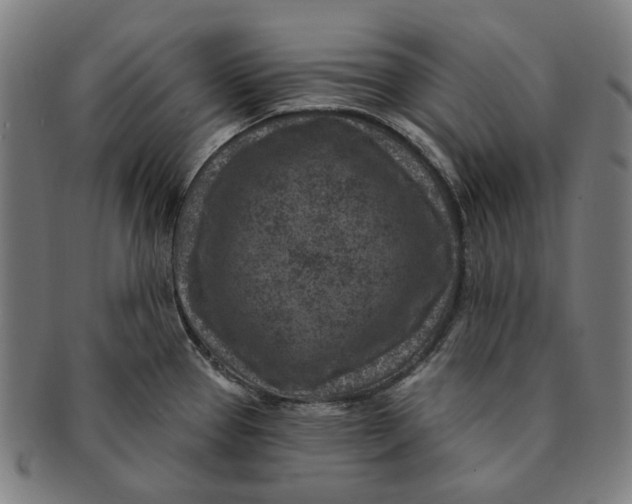 X0000091001337200708241440