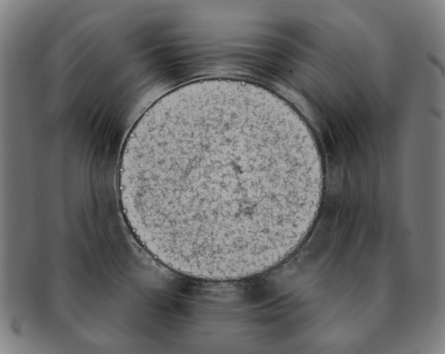 X0000091001338200708241440