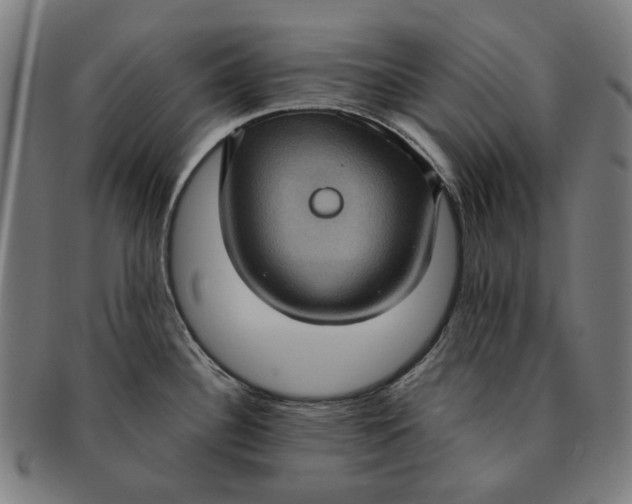 X0000091001340200708241440