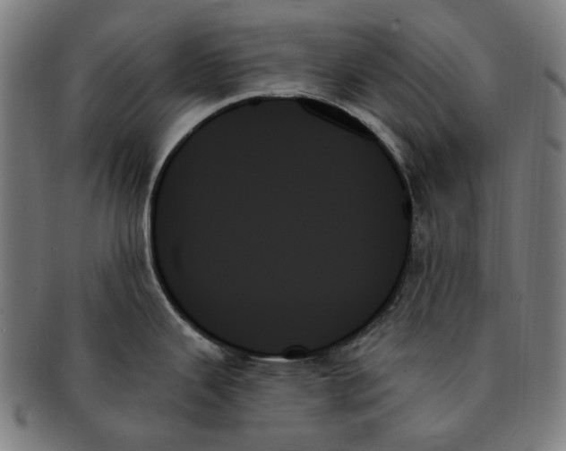 X0000091001343200708241440