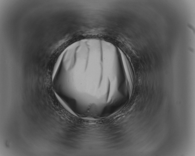 X0000091001350200708241439