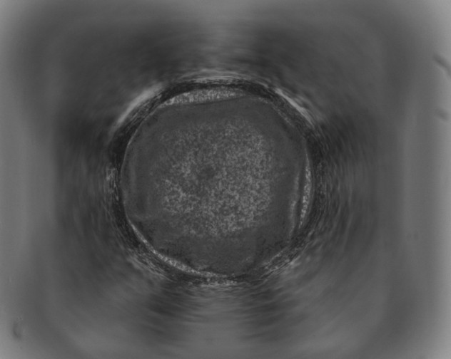 X0000091001351200708241439