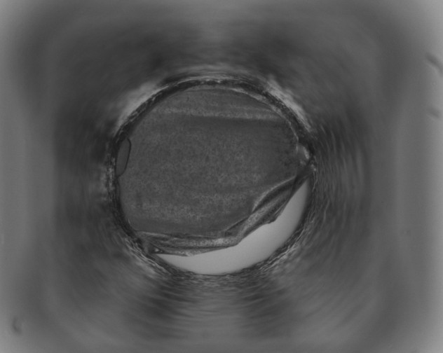 X0000091001352200708241439