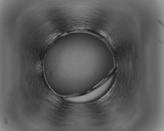 X0000091001353200708241439