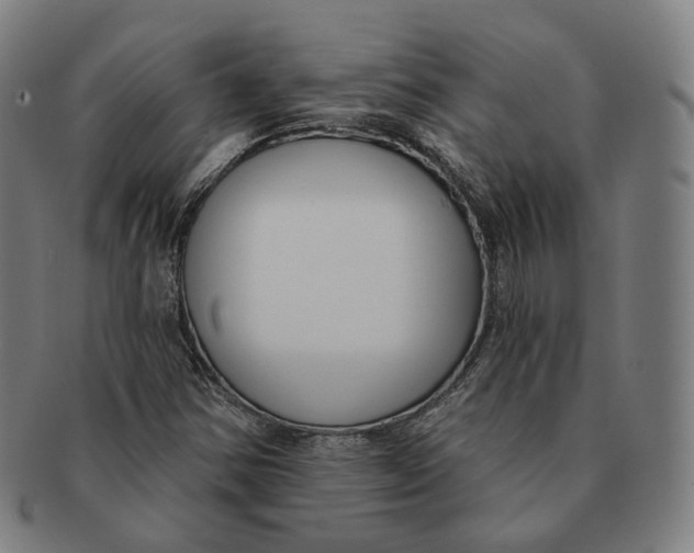 X0000091001354200708241439