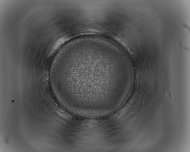 X0000091001355200708241439