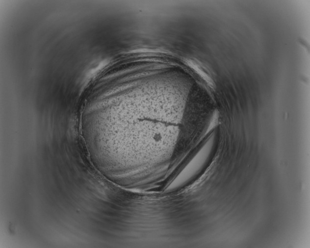 X0000091001357200708241439