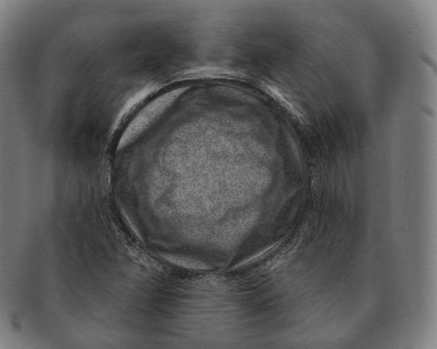 X0000091001358200708241439
