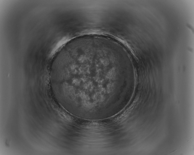 X0000091001359200708241439