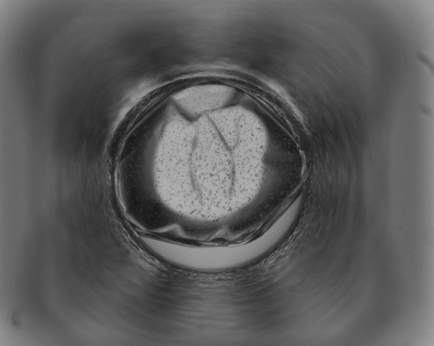 X0000091001360200708241439