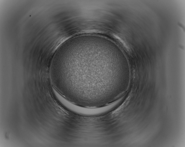 X0000091001361200708241439
