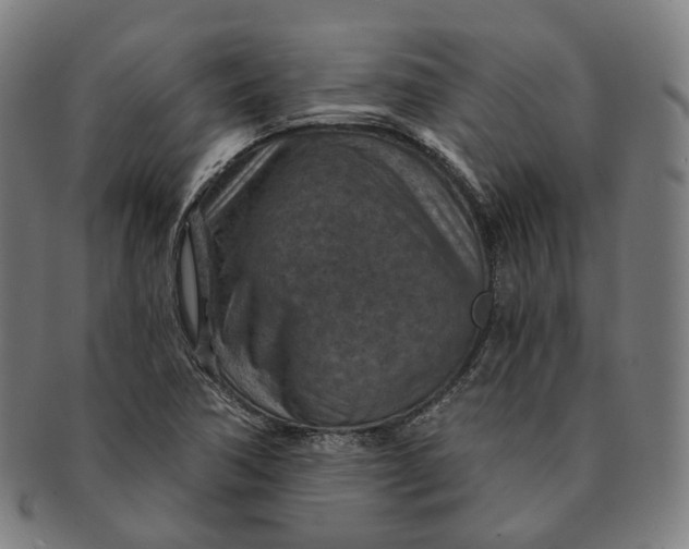 X0000091001362200708241439