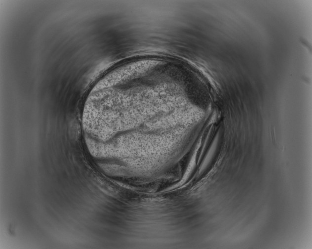 X0000091001363200708241439
