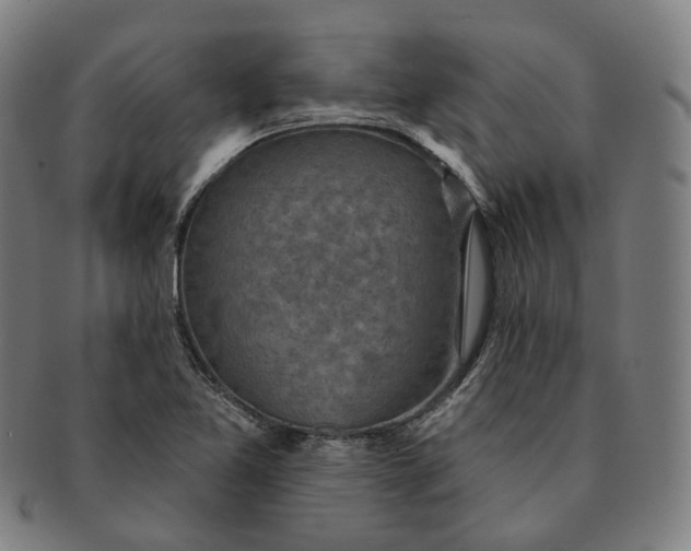 X0000091001365200708241439