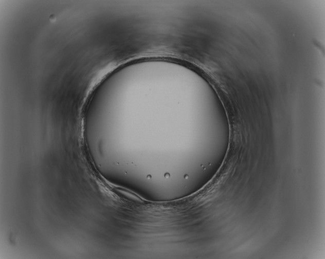 X0000091001366200708241439