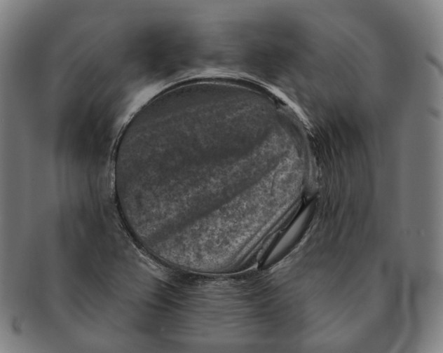 X0000091001367200708241439