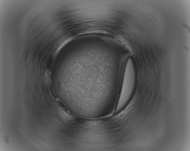 X0000091001369200708241439