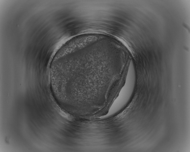 X0000091001371200708241439