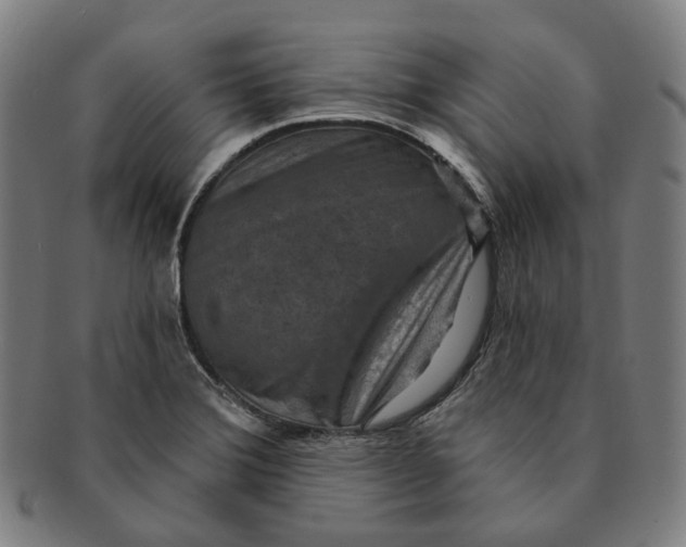 X0000091001372200708241439