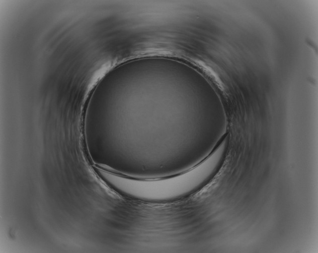 X0000091001373200708241439