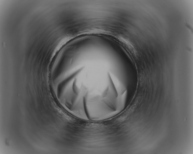 X0000091001374200708241439