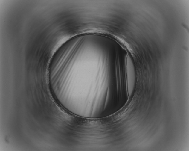 X0000091001375200708241439