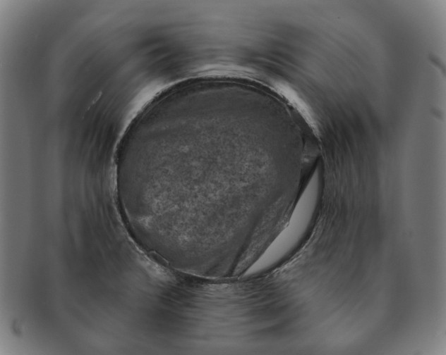 X0000091001376200708241439