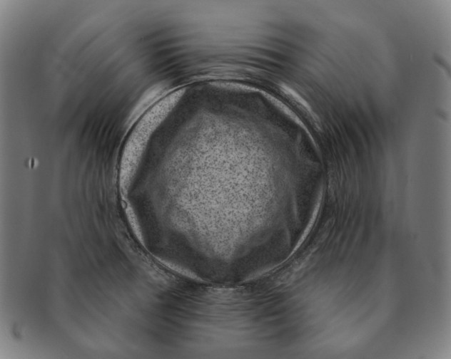 X0000091001378200708241439