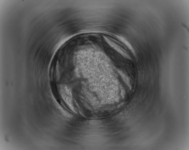 X0000091001380200708241439