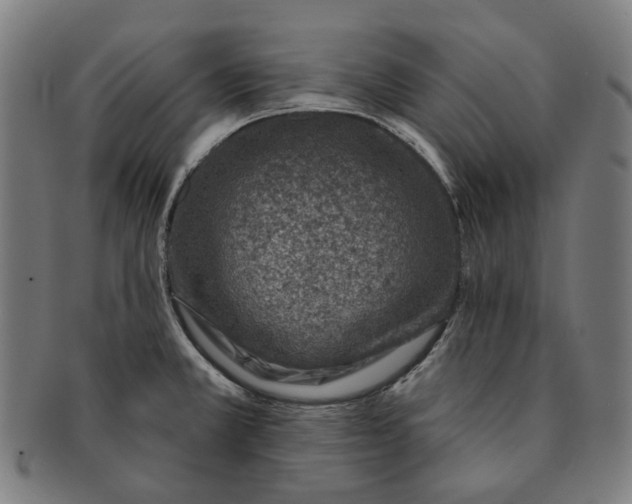 X0000091001381200708241439